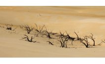 The Original Australian