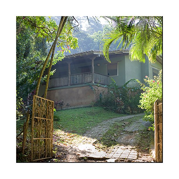 Willie's cacao Las Trincheras Gold